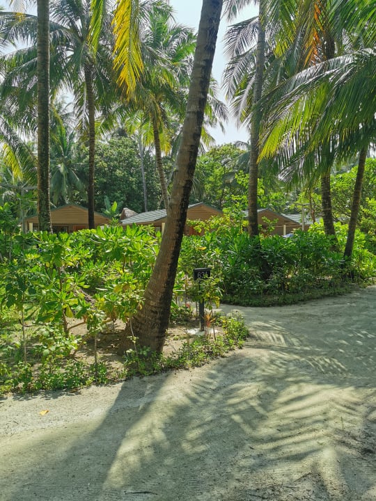 Zimmer Meeru Maldives Resort Island