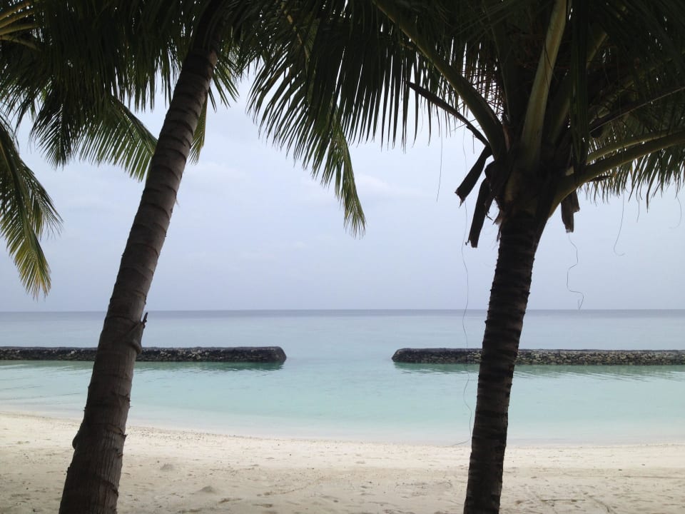 Aussicht von der Terrasse Kuramathi Maldives