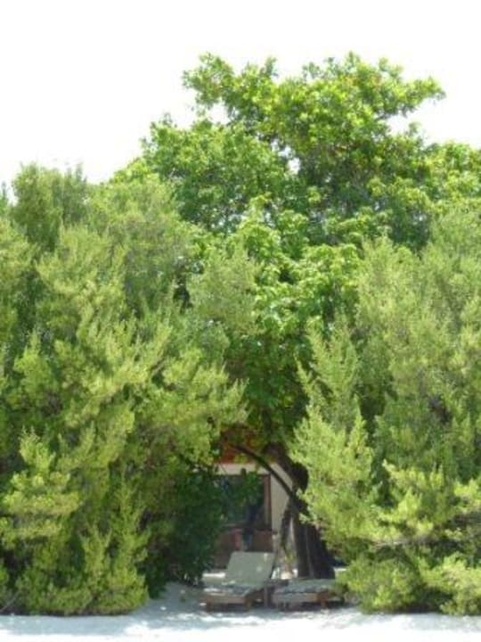 Blick vom Strand zum Zimmer 175 NH Collection Maldives Reethi Resort
