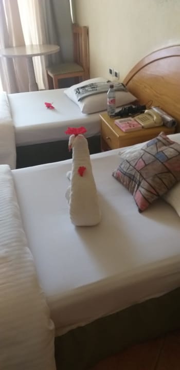 Zimmer Ghazala Gardens