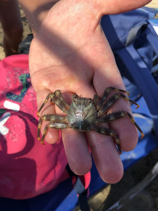 Sonstiges Eri Beach & Village