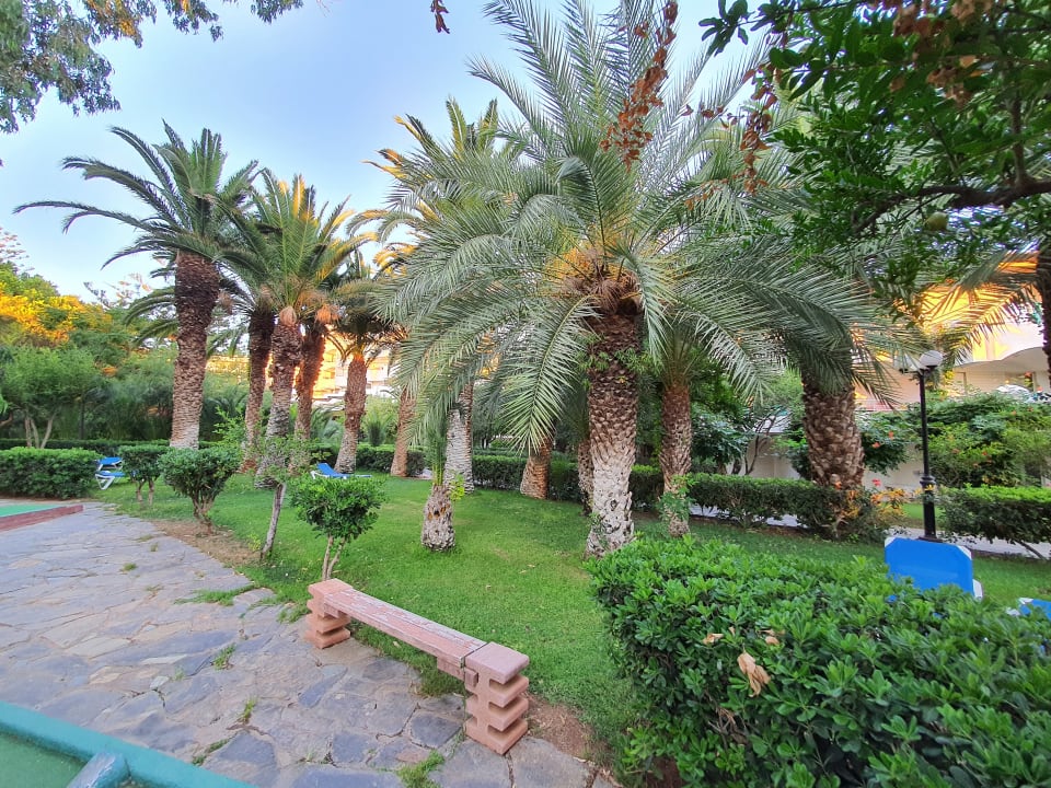 Gartenanlage Apollonia Beach Resort & Spa
