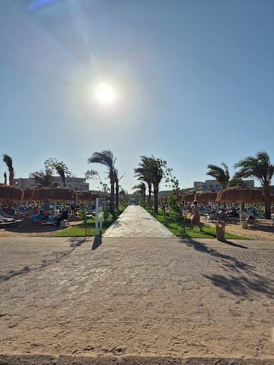 Strand JAZ Elite Asteria