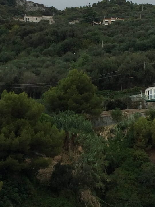 Blick vom Hafen zum Hotel Hotel  e Ristorante  Rosita