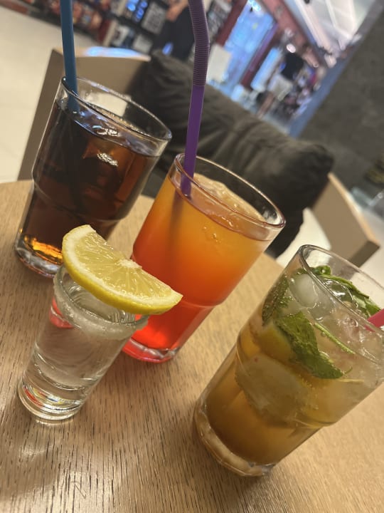 Gastro Seashell Vega