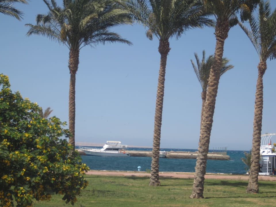 Пляж Blend Club Aqua Resort