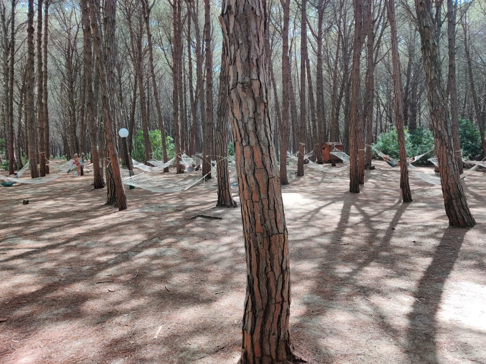 Gartenanlage TUI MAGIC LIFE Calabria