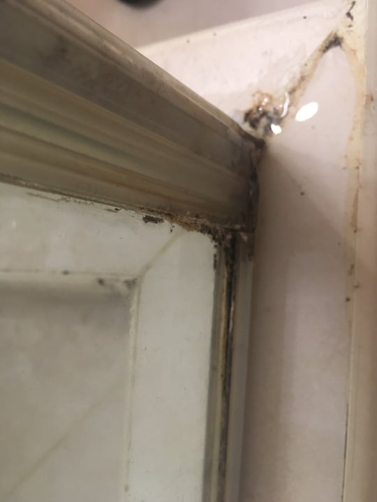 Zimmer Effect Grand Victoria Hotel