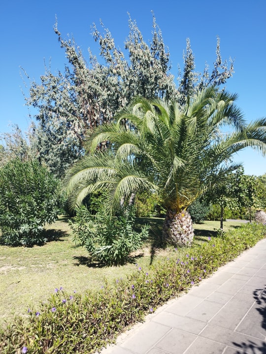 Gartenanlage Anadolu Hotels Didim Club