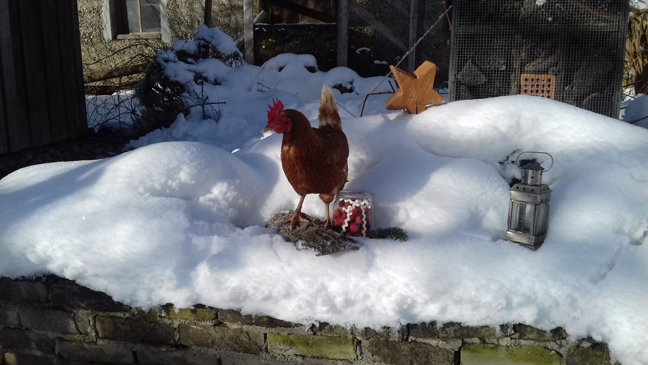 Sonstiges Ferienhof Uebelhör