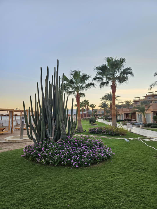 Außenansicht Shams Prestige Abu Soma-Adults Only