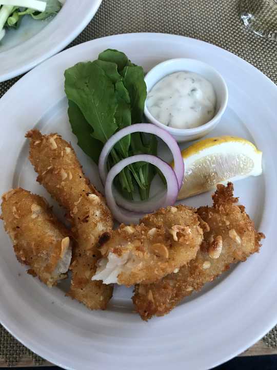 Gastro Acanthus Cennet Barut Collection