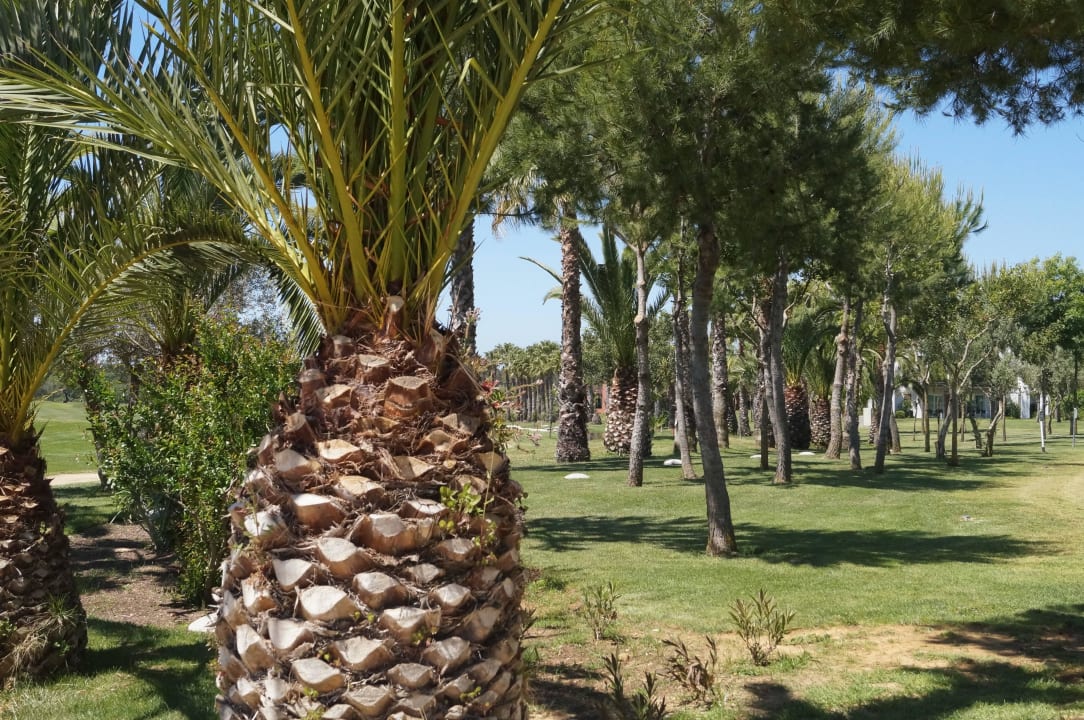 Gartenanlage ROBINSON QUINTA DA RIA