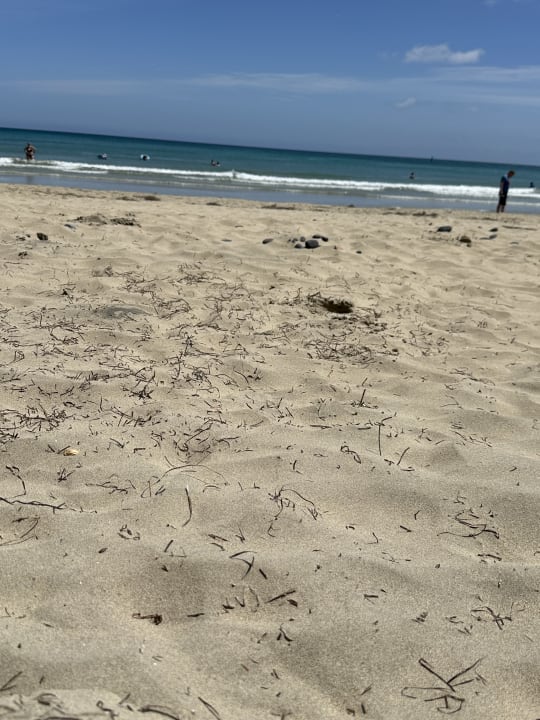 Strand SBH Hotel Taro Beach