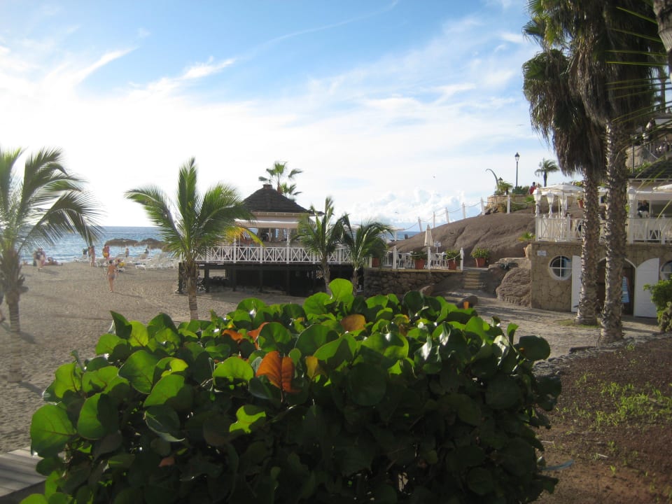 Öffentlicher Strand "Playa del Duque" Gran Tacande Wellness & Relax Costa Adeje