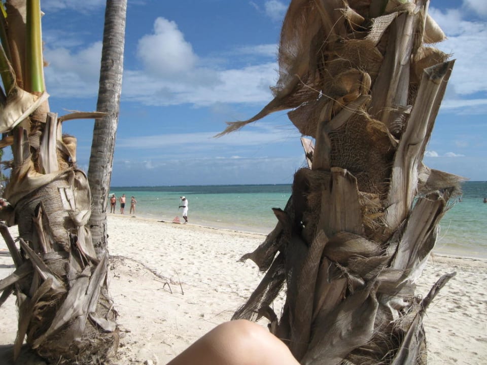 Strand Catalonia Royal Bavaro - Adults only