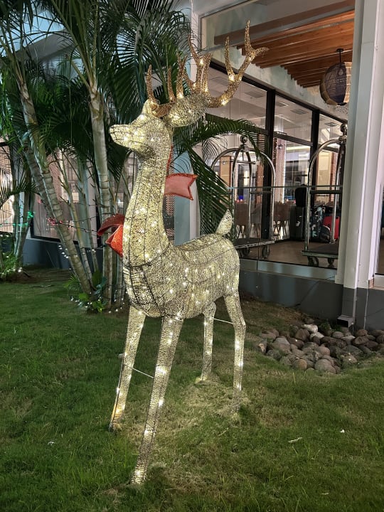 Gartenanlage Hotel Riu Palace Tropical Bay