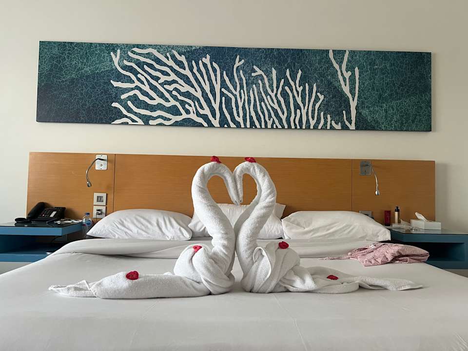 Zimmer Novotel Marsa Alam Beach Resort