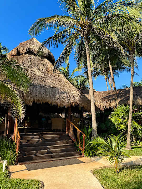 Gartenanlage Akumal Bay Beach & Wellness Resort