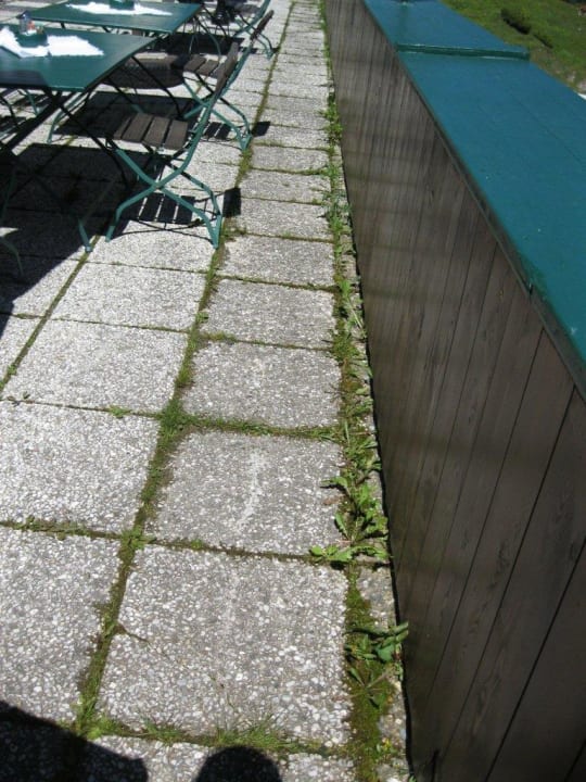 Wucherndes Unkraut auf der großen "Sonnenterrasse" Alpengasthof Hotel Kopphütte