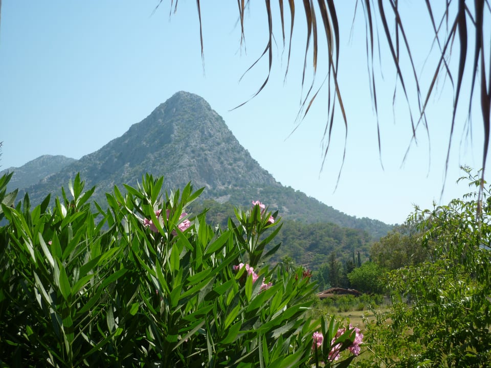Ausblick Papirus Hotel