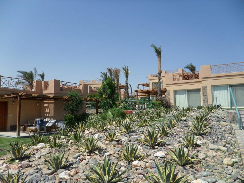 Schöne Bepflanzung Shams Prestige Abu Soma-Adults Only