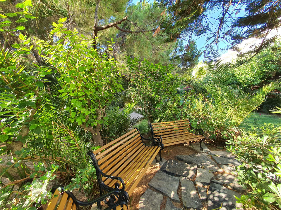 Gartenanlage Apollonia Beach Resort & Spa