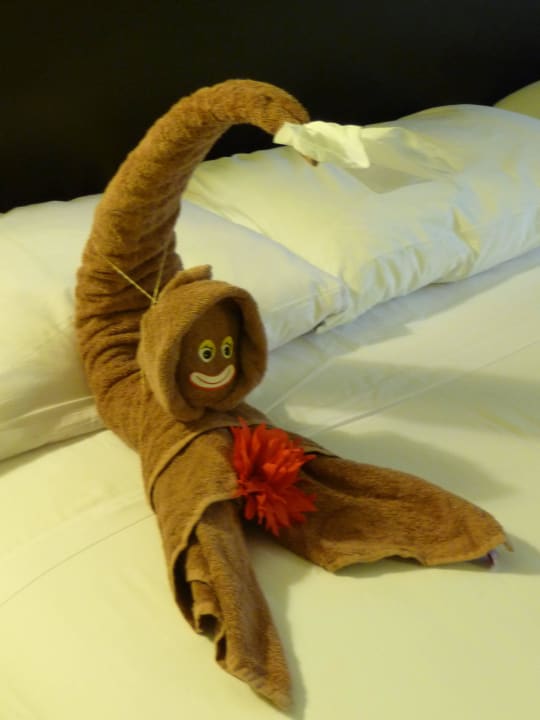 Handtuchfigur Hotel Riu Tequila