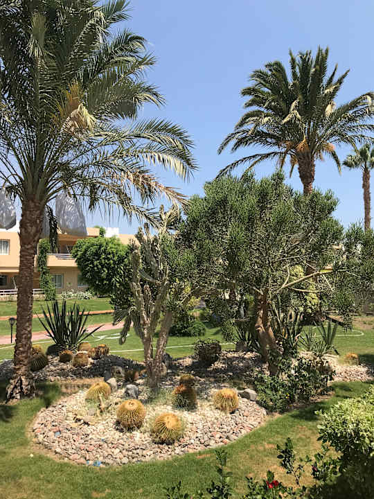 Gartenanlage Golden Beach Resort