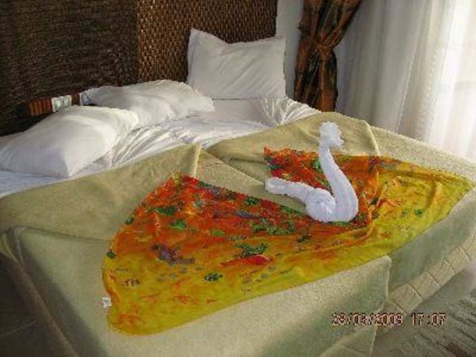 Ozdoba Pickalbatros Aqua Blu Resort - Sharm El Sheikh