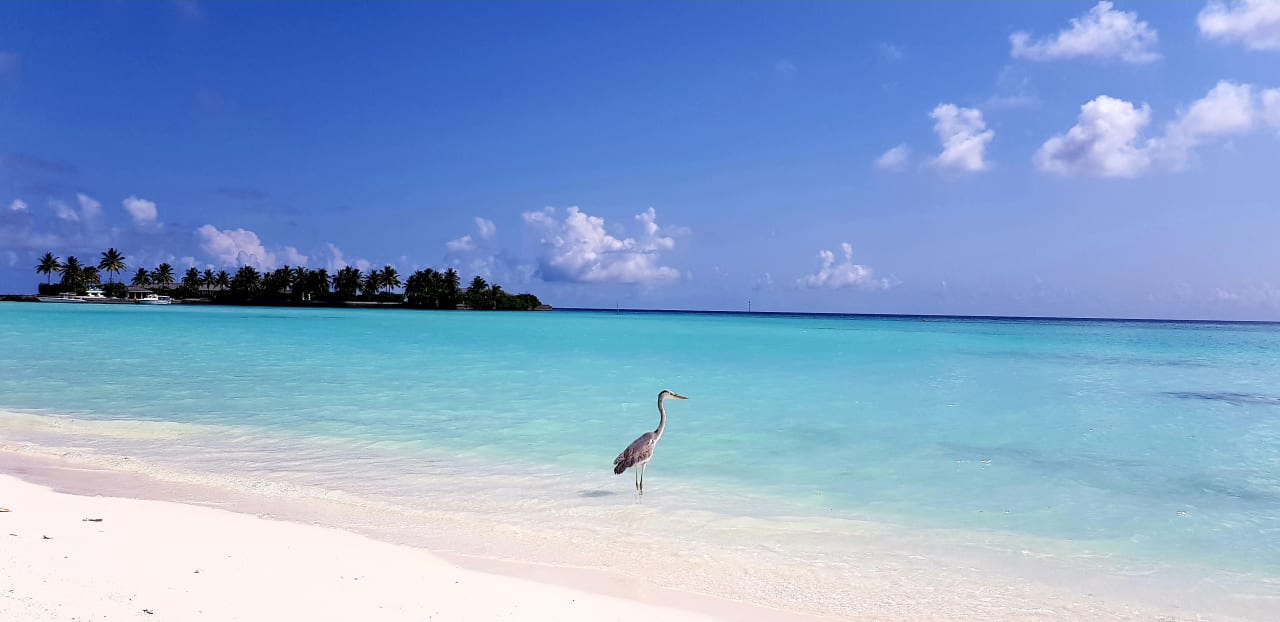 Strand Villa Park Sun Island