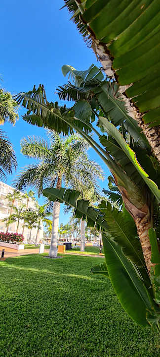 Außenansicht Sunprime Atlantic View