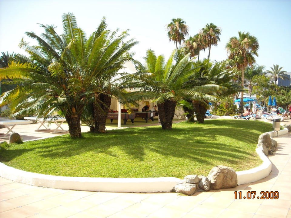 Einfach nur schön Gran Canaria Princess