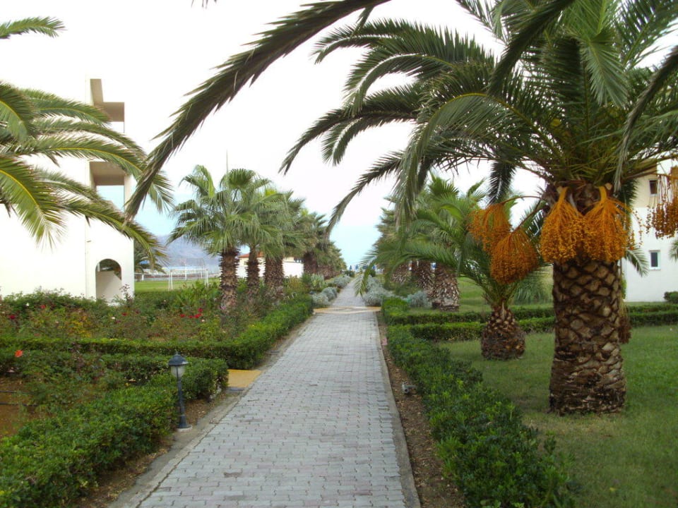 Weg zum Strand Delfina Tropic Beach