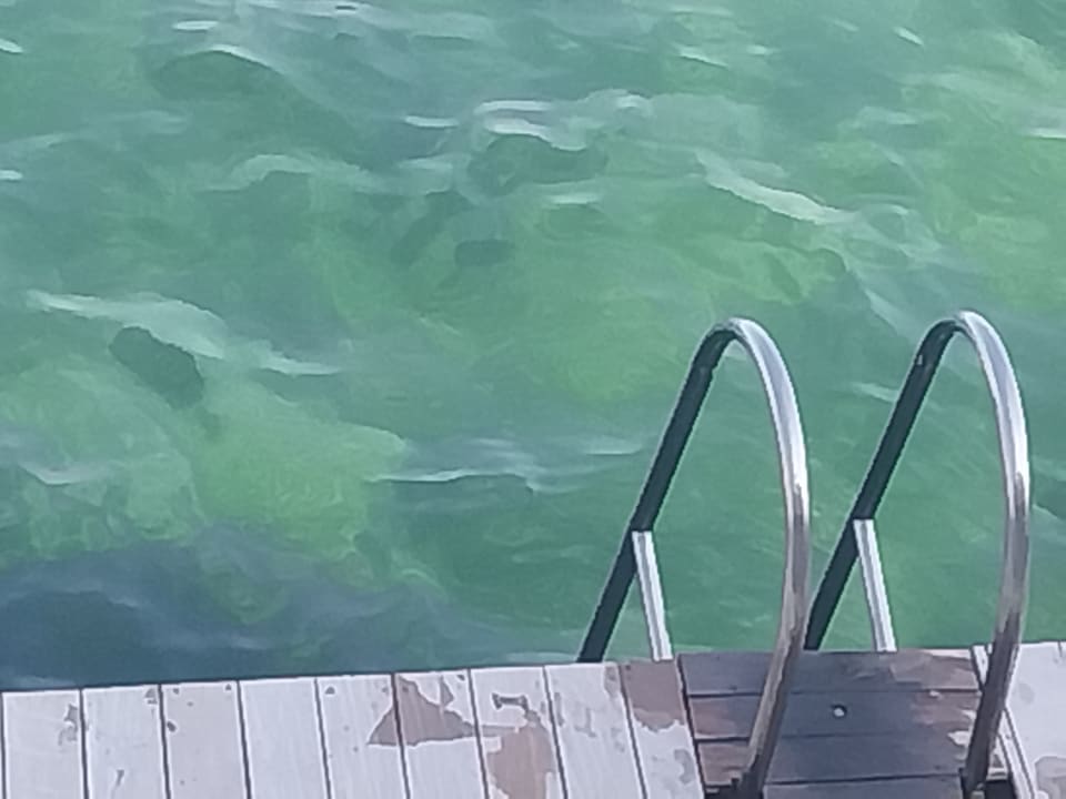 Pool Hotel Istra - Liburnia