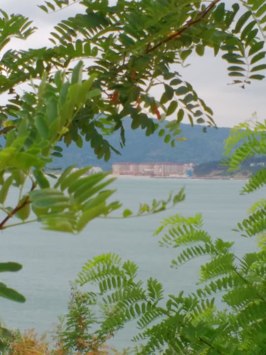 Blick von Byala auf das Hotel Sol Luna Bay