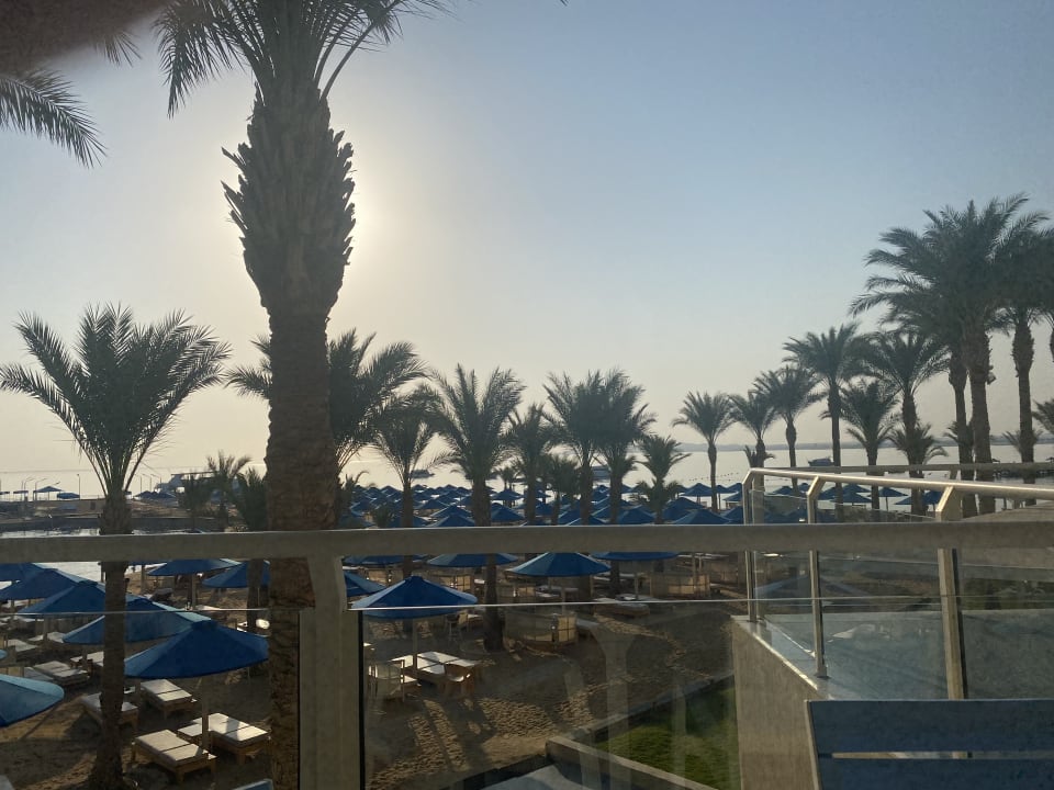 Ausblick Beach Albatros Resort