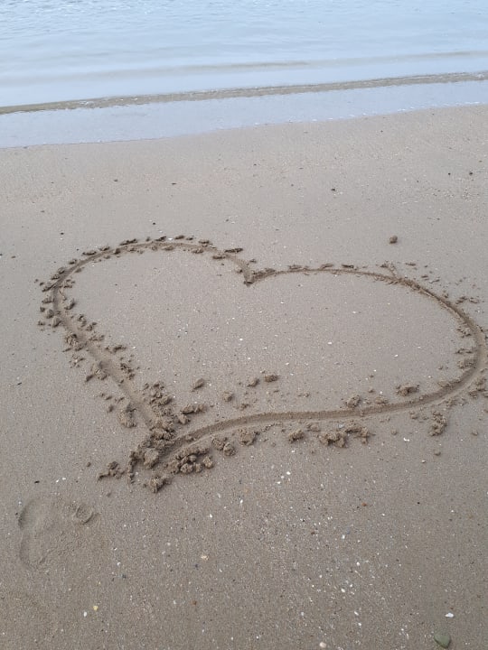 Strand Paloma Oceana