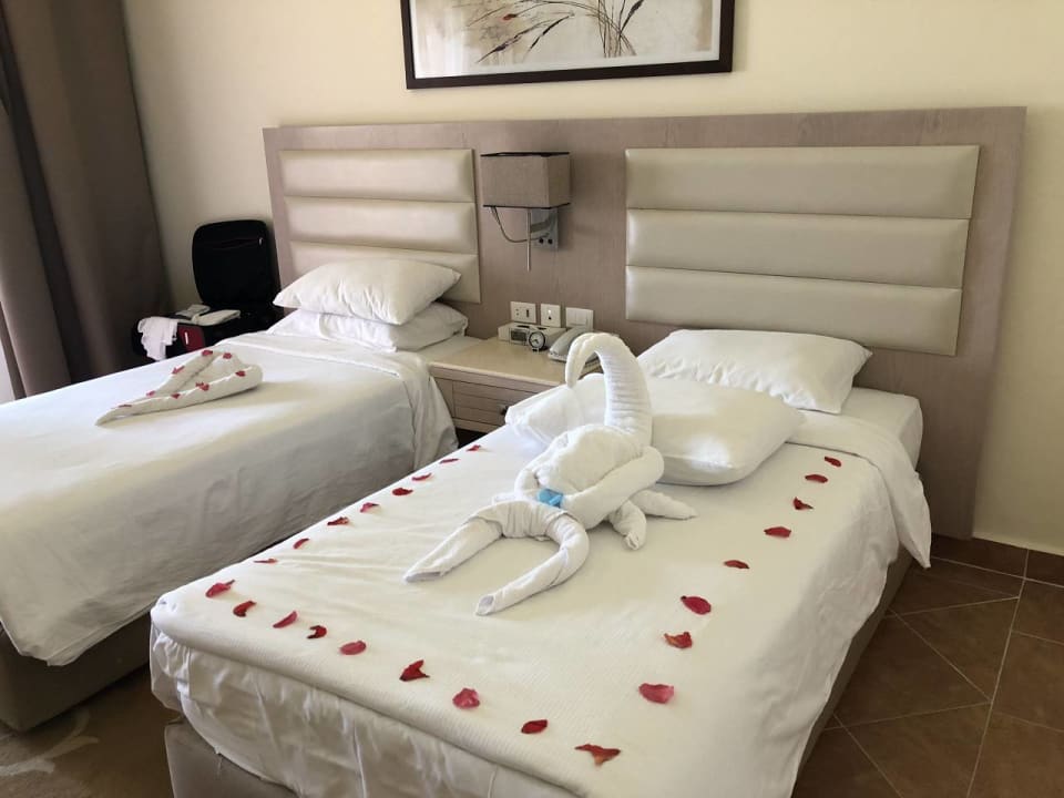 Standardzimmer Pickalbatros Aqua Vista Resort - Hurghada