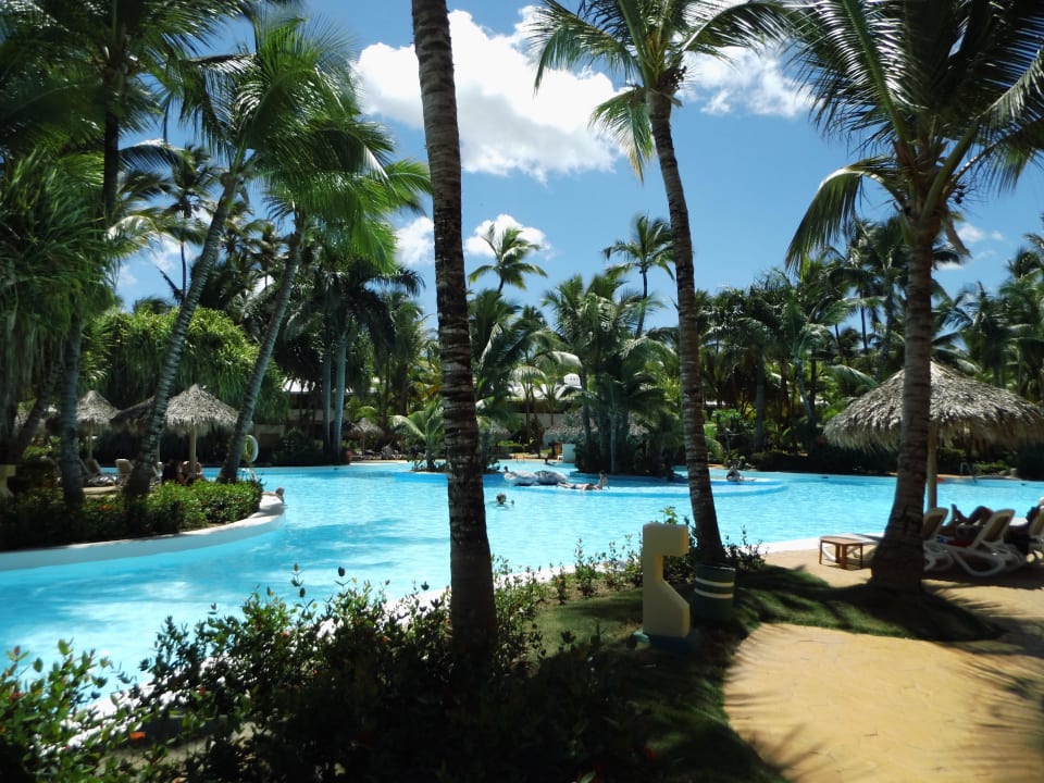 Sehr schöner Pool mit Poolbar Meliá Caribe Beach Resort-All Inclusive
