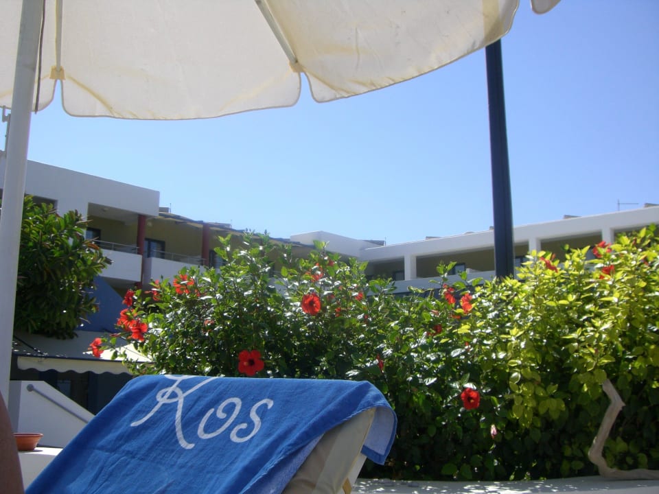 Pool Liege Hotel Kos Palace