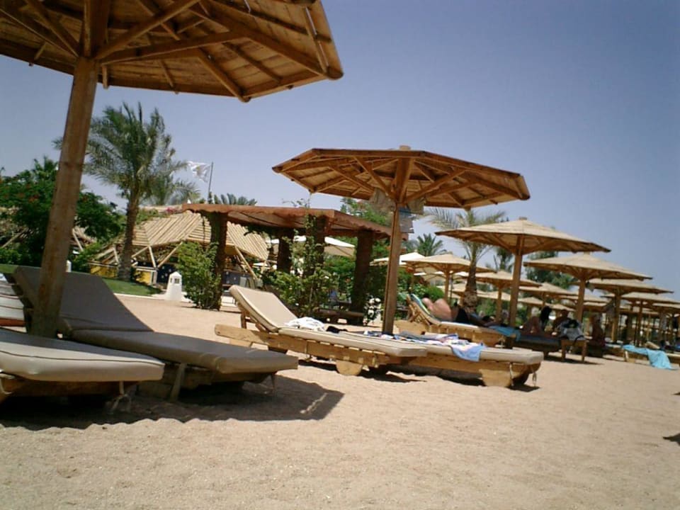 Liegen am Strand vom Coralia Novotel Novotel Sharm El Sheikh