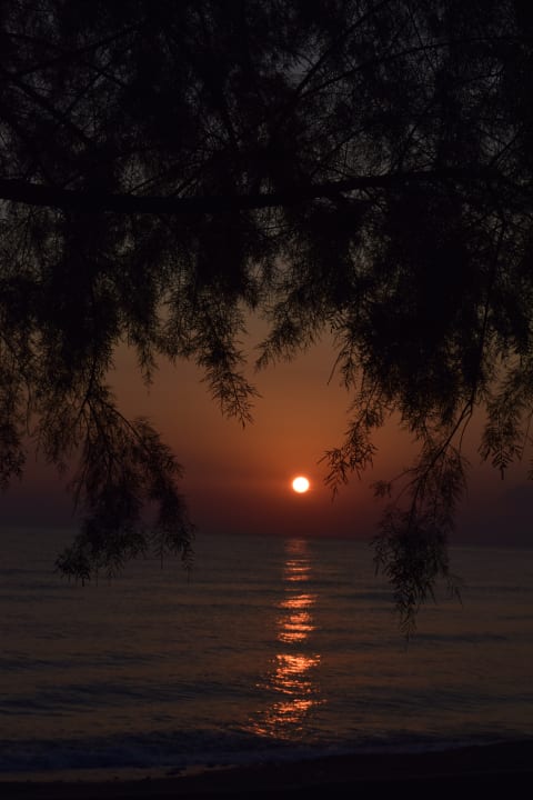 Ausblick alltoura Club Hotel Poseidon Palace