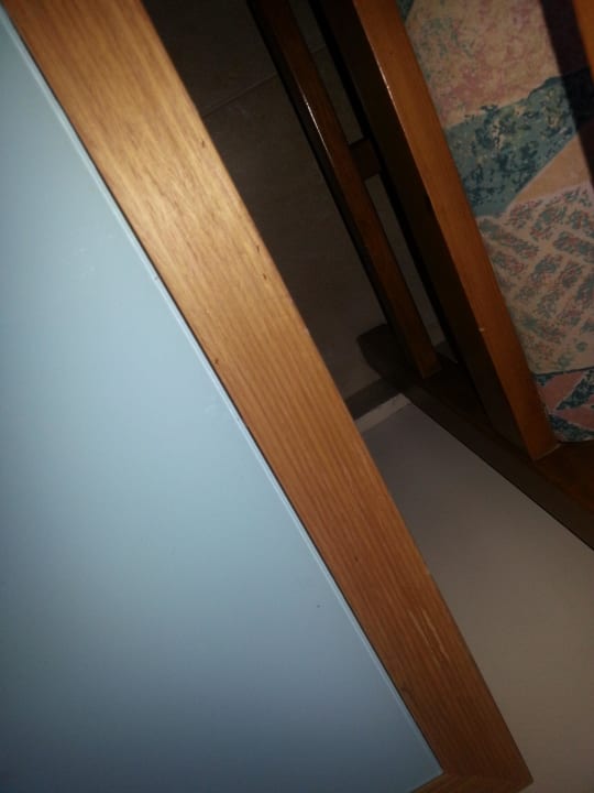 Ants in the room Sol Cosmopolitan Rhodes