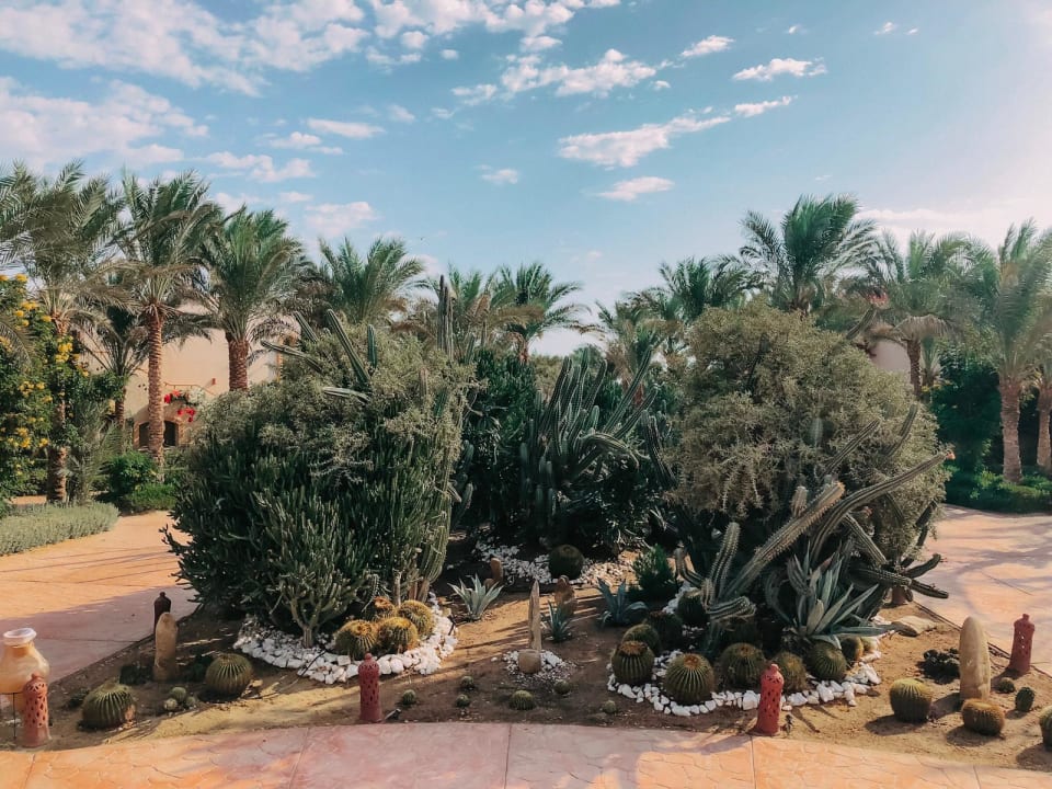 Gartenanlage Dream Lagoon Resort & Aqua Park