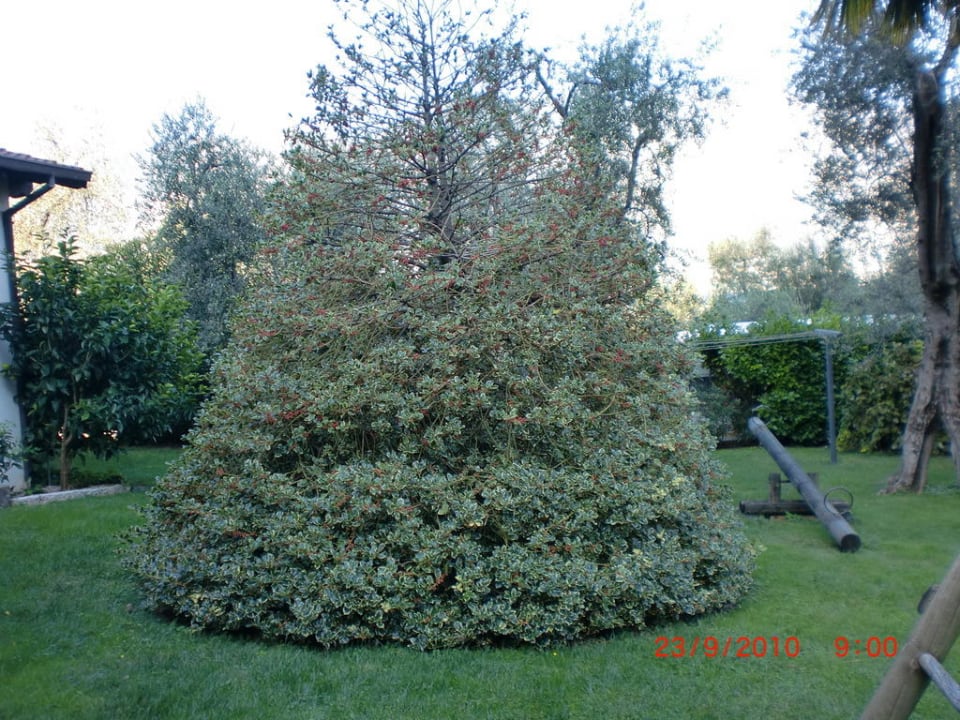 Im Garten Residence Alesi