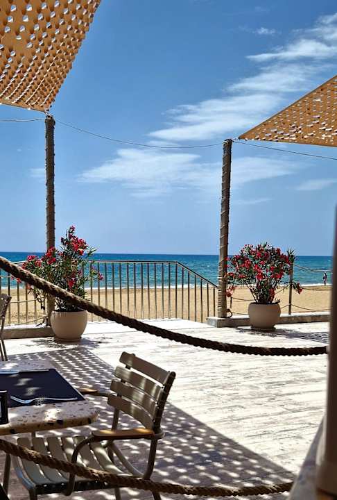 Strand Seashell Vega