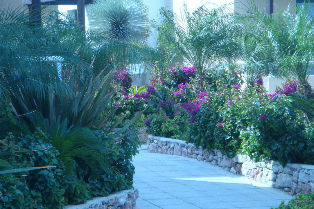 Weg zum Pool Atlantica Mikri Poli Rhodes