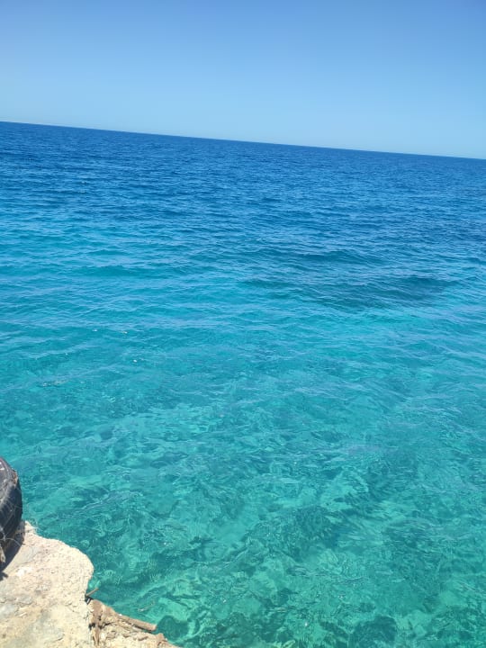 Strand Hotel Titanic Palace