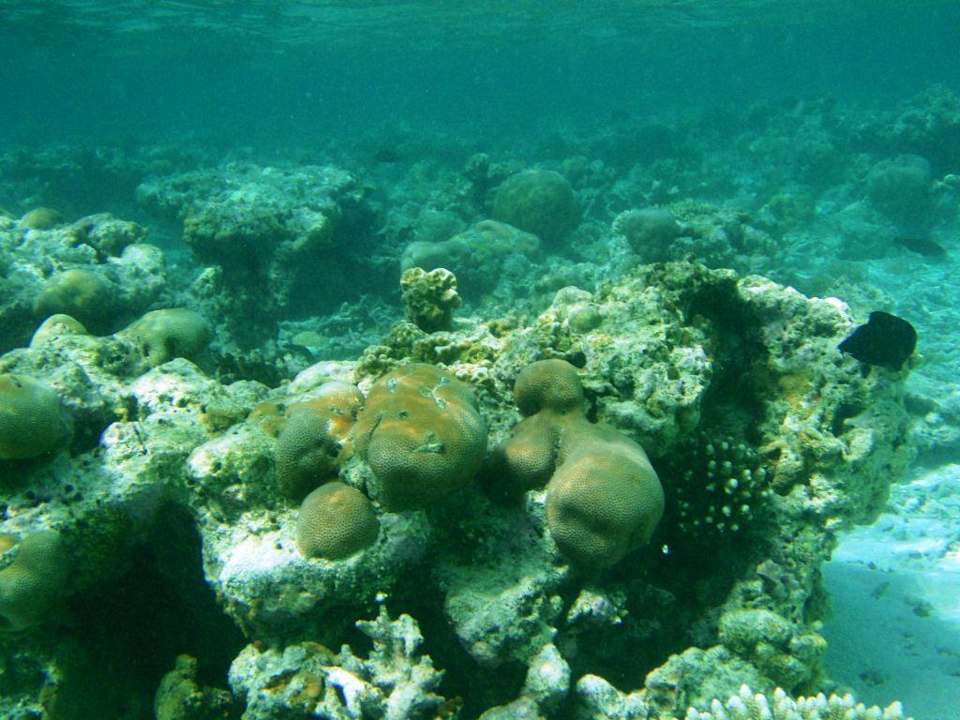 Unterwasser Embudu Village